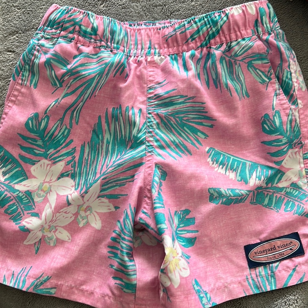 COPY - Vineyard vines trunks
